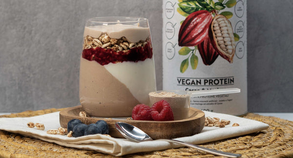 Protein Wild Yogurt