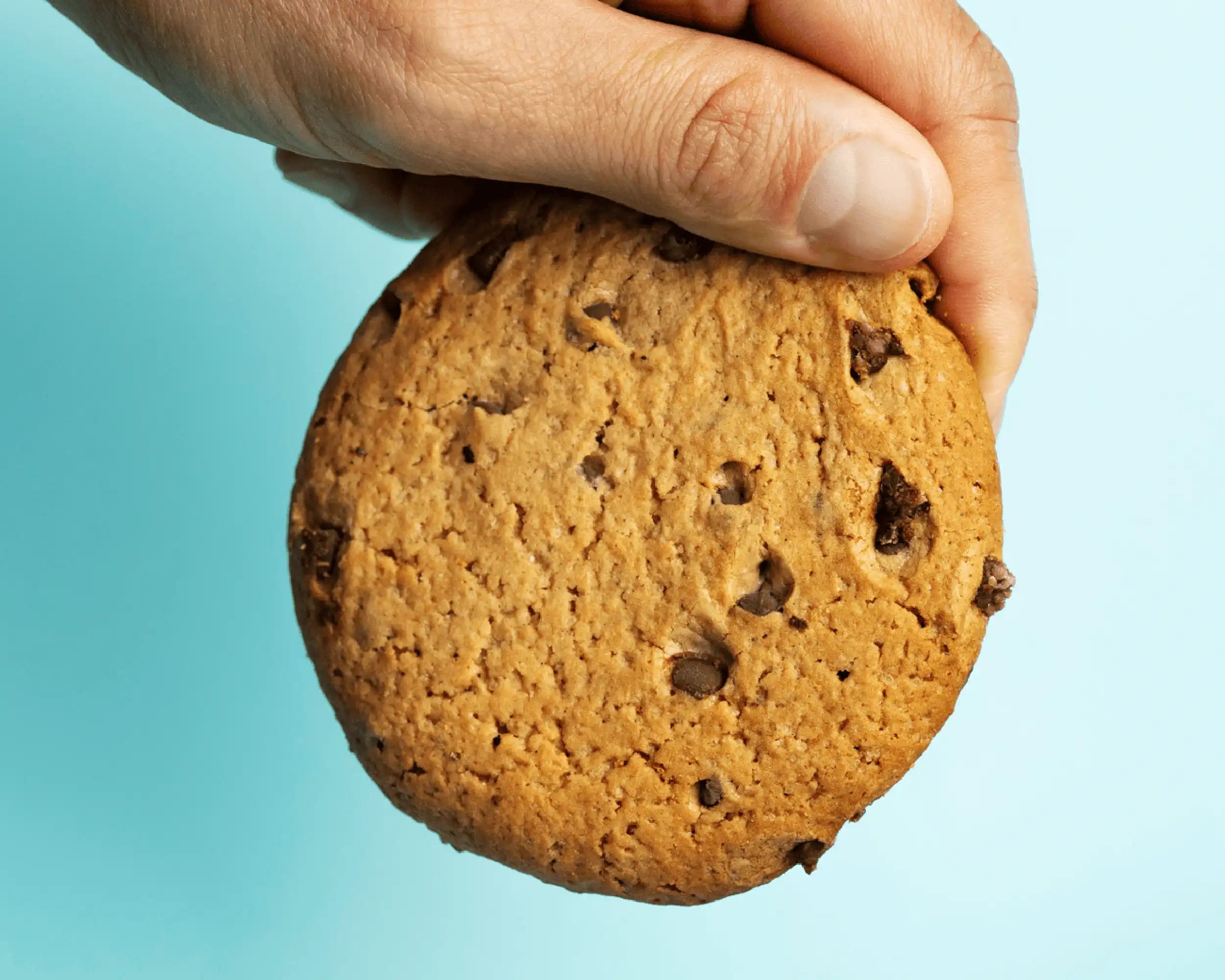 Super Protein Cookie Gocce di cioccolato + Pitaya